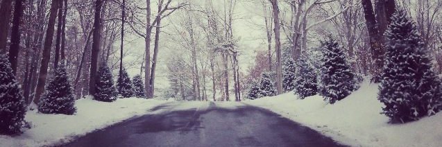 ToftreesResort's profile banner image