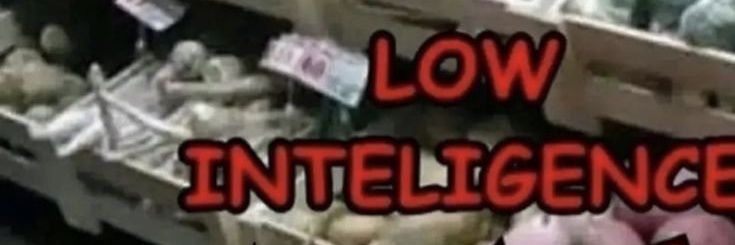 notNottMatthias's profile banner image