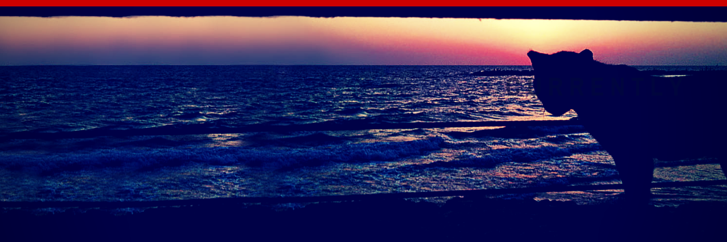 TODw's profile banner image