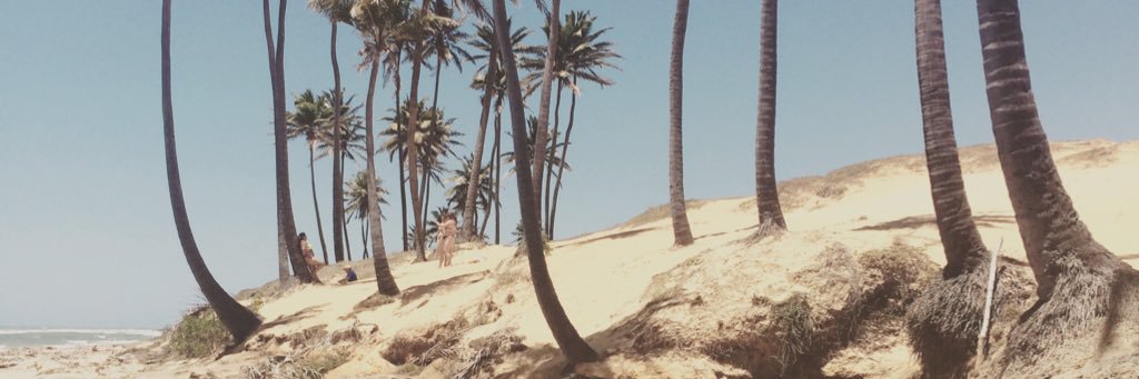 Luannfc's profile banner image