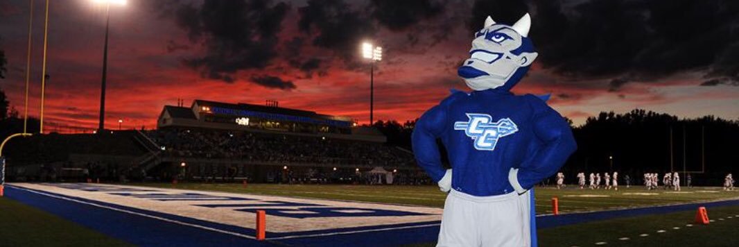 CCSU Blue Devils's banner