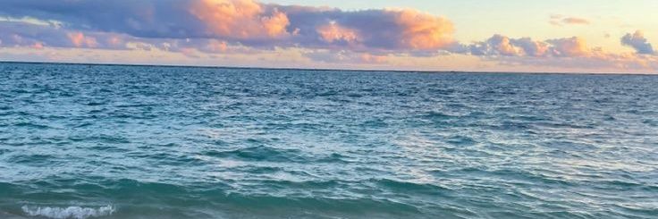 Dra_Constantino's profile banner image