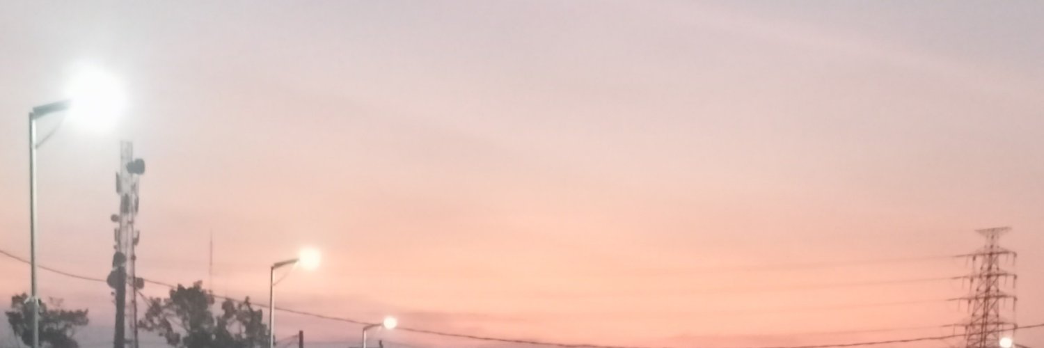 ✦ 𝗻𝗼𝗰𝘁 ✦ banner