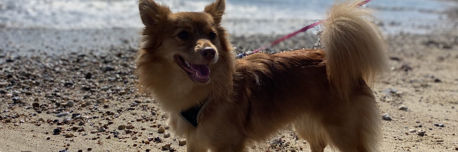 JordanOSullivan's profile banner image