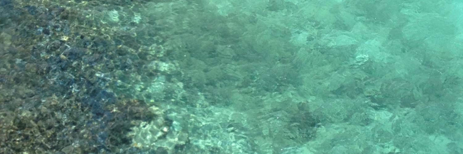 birusakae's profile banner image