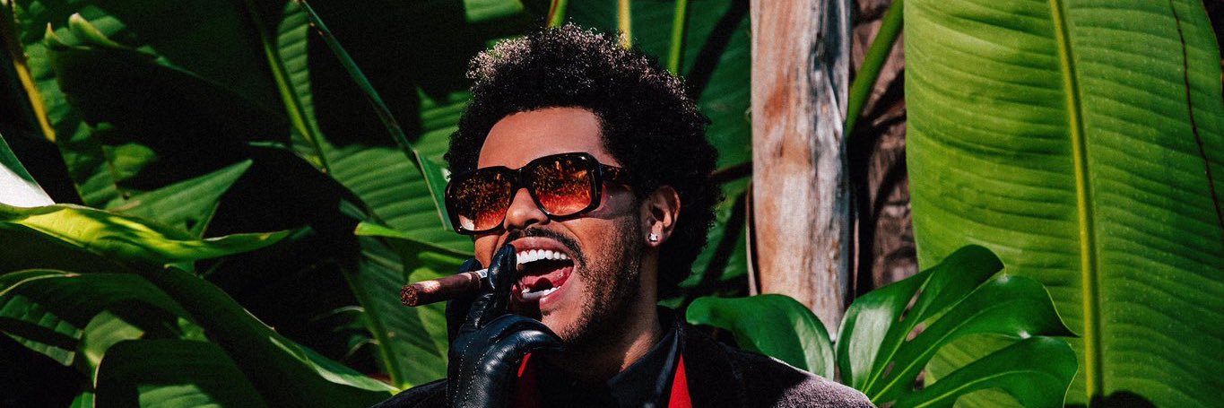 alexwalks's profile banner image
