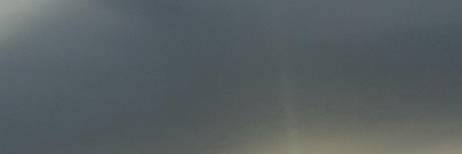 wnstwins's profile banner image