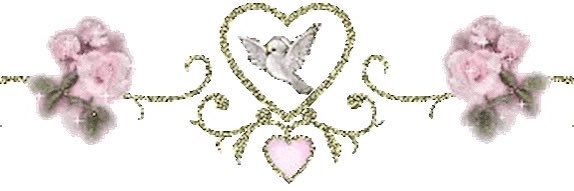 cutigato's profile banner image