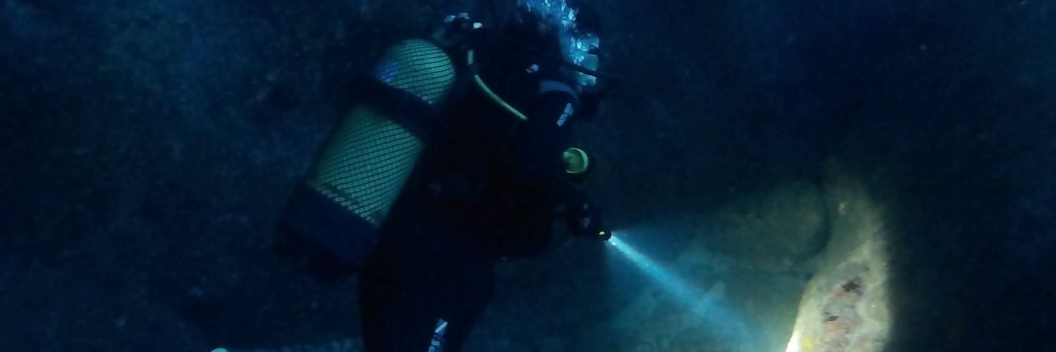 Ianearis's profile banner image