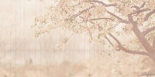 LorenaRiverab's profile banner image