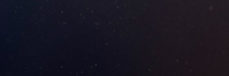 bizzleeff's profile banner image