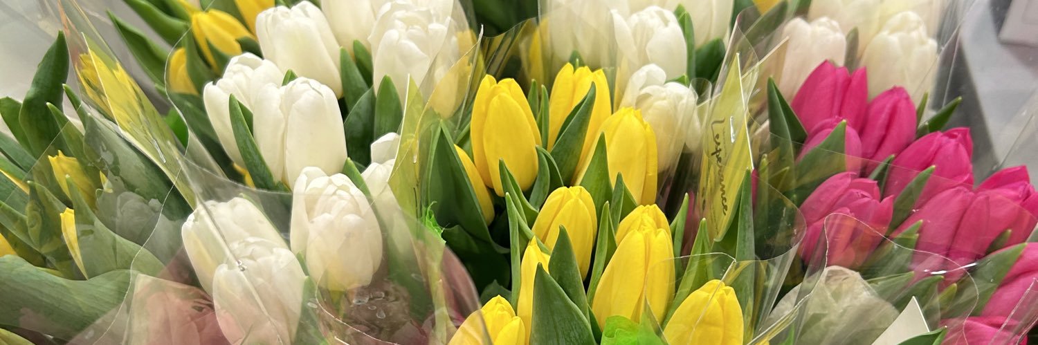 Bijouyow🍫🇸🇳 🇲🇱 🇨🇦 banner