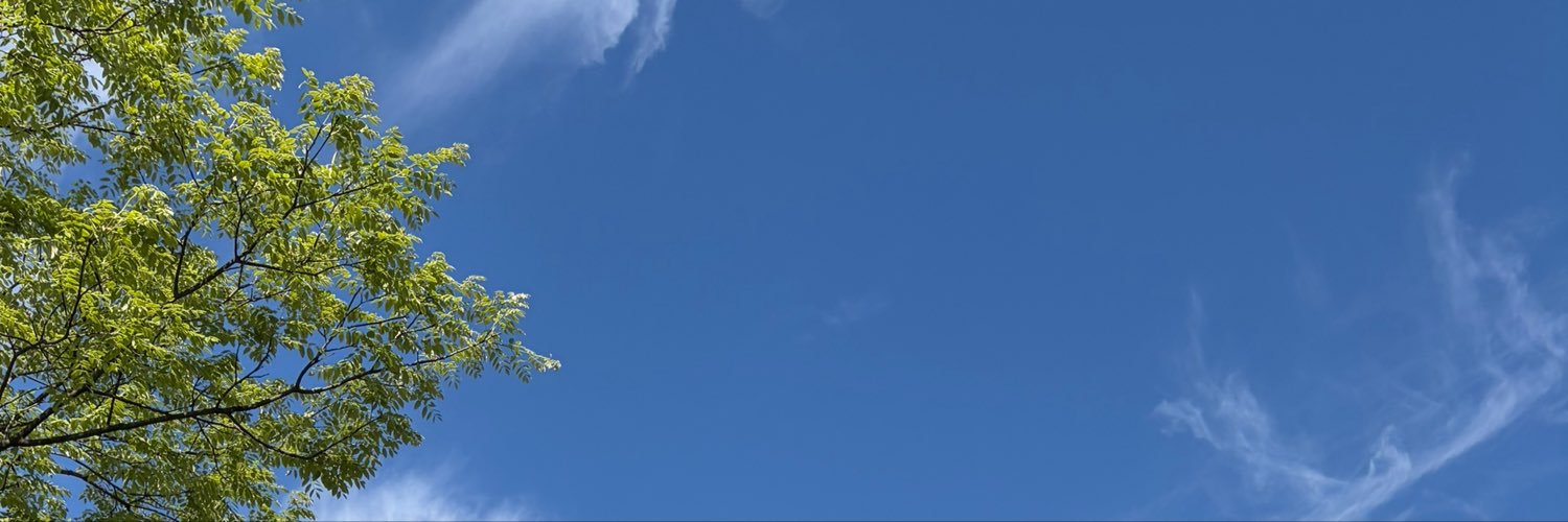 mooxtal___'s profile banner image