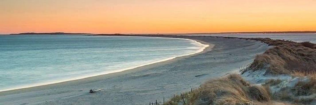 Leonardo Moncada banner