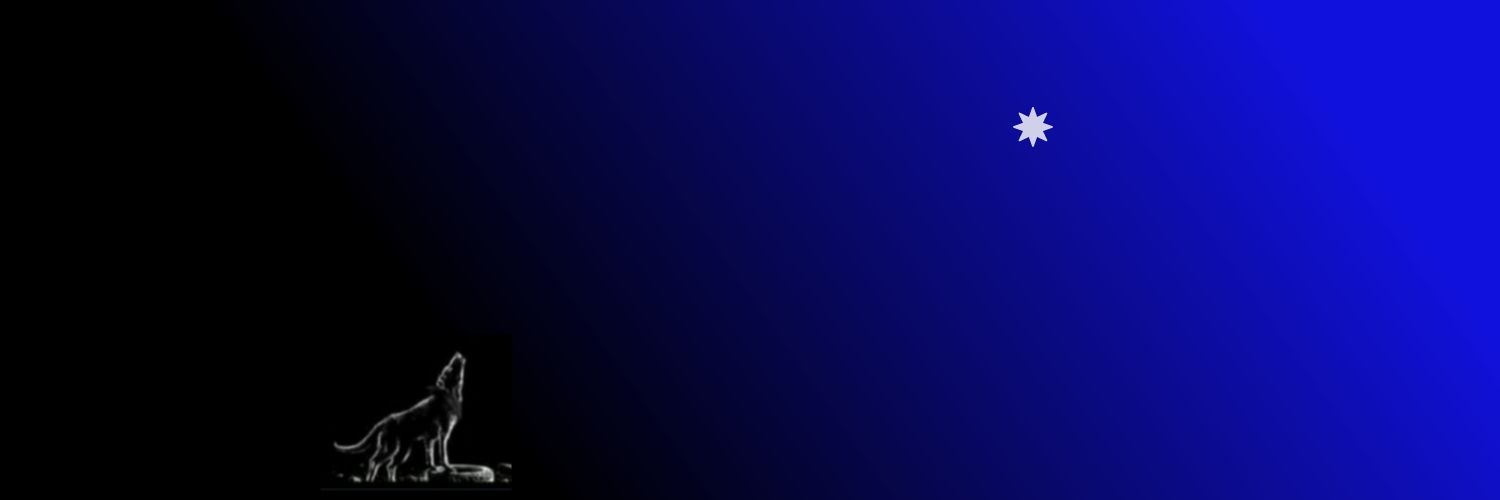 cludiaclau's profile banner image