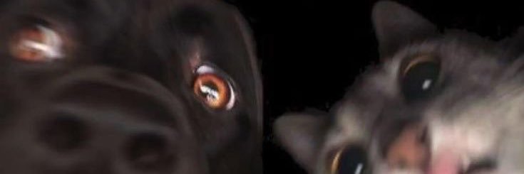 magneticah's profile banner image