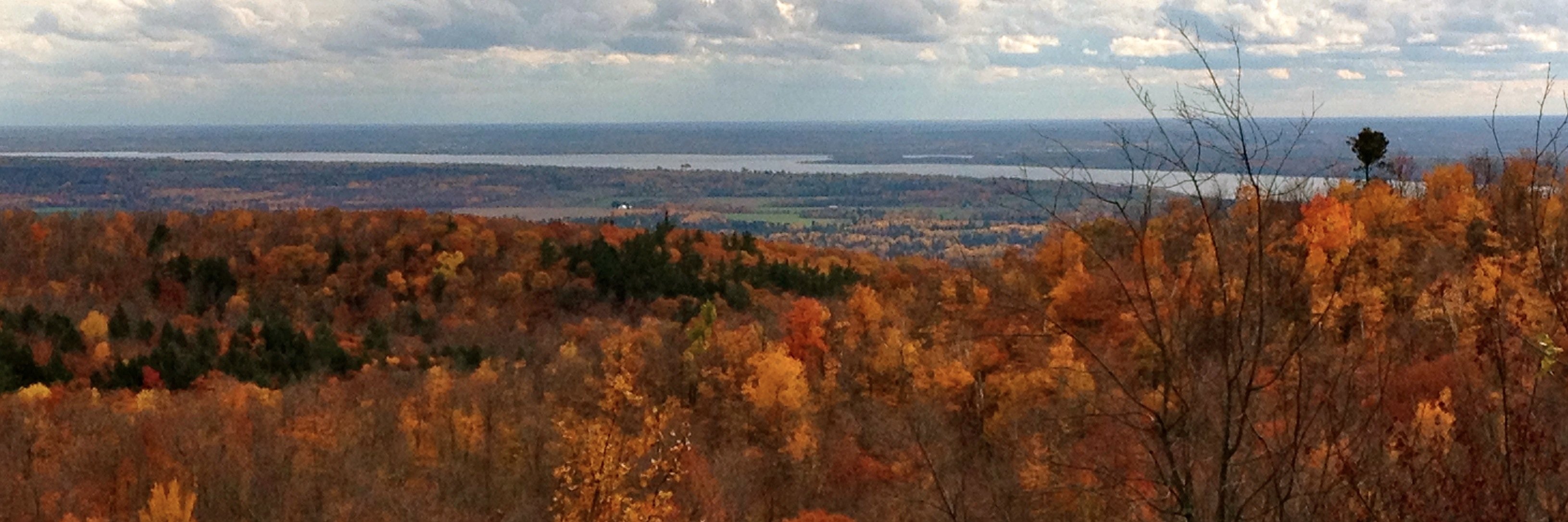 Kelsey Johnson banner