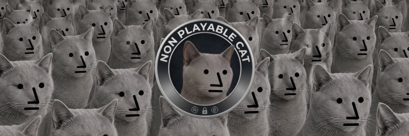 Nonplayablecat_'s profile banner image