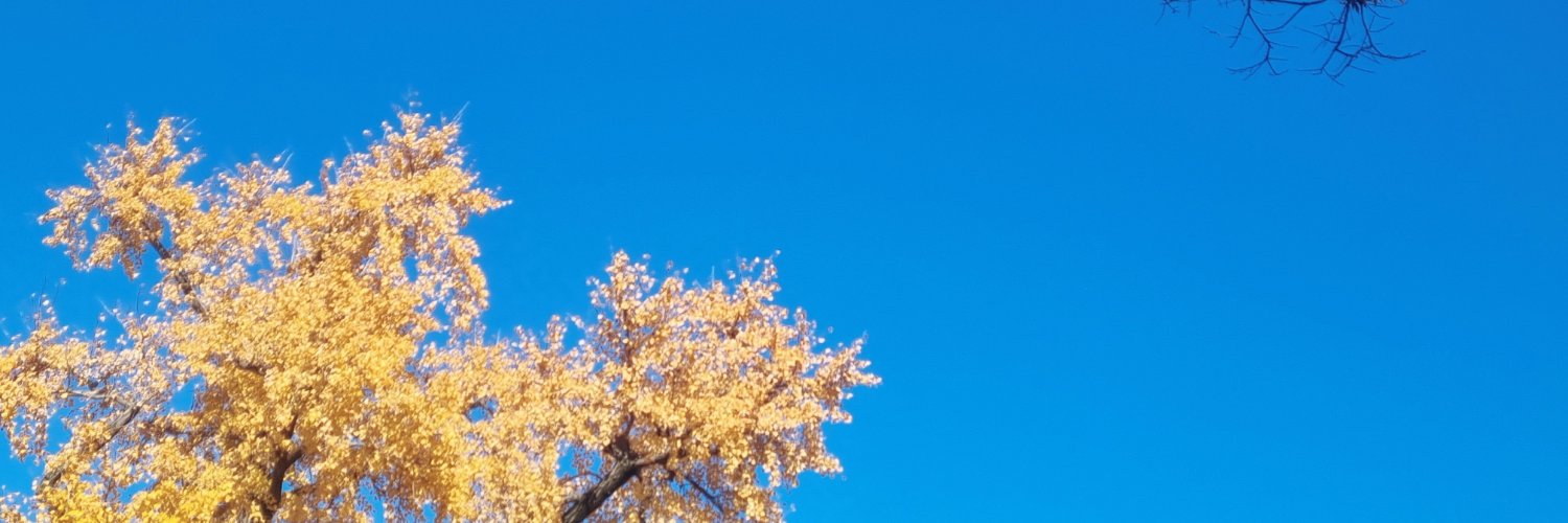 PCTea_reading's profile banner image