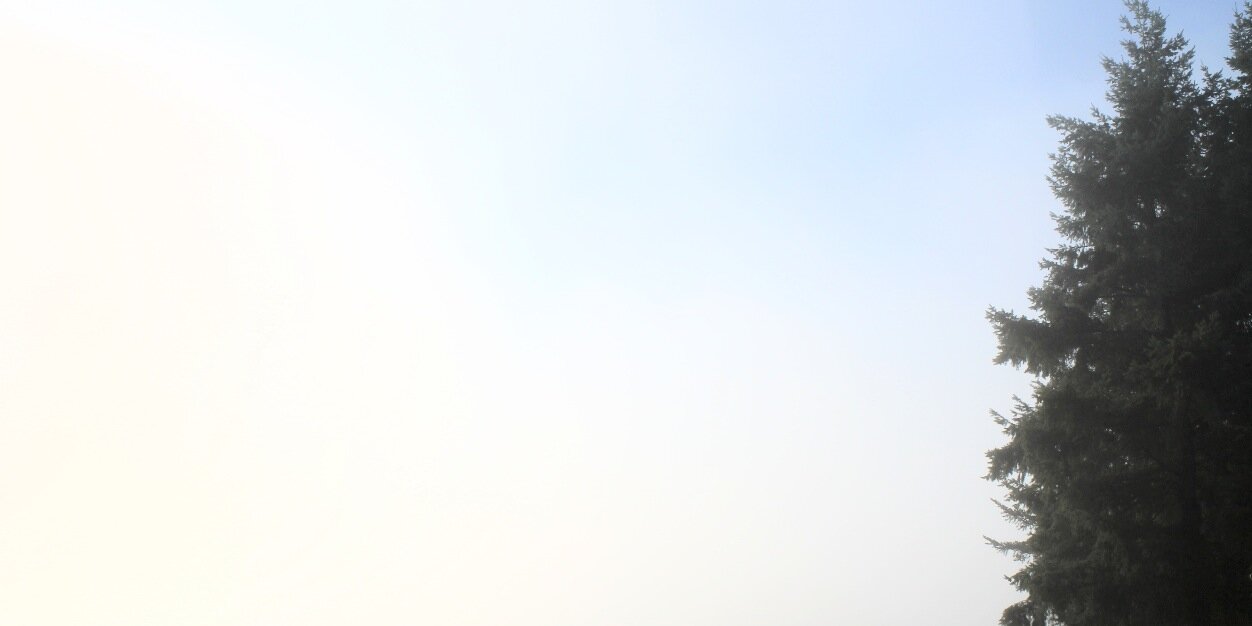 Joel Marshall banner