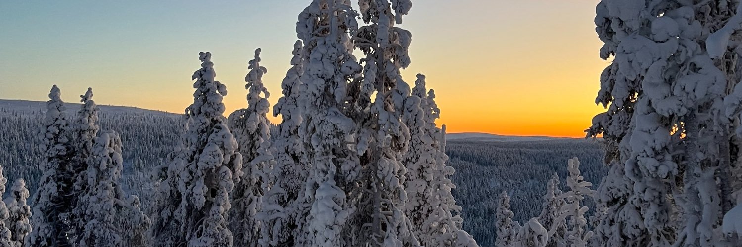 eiskaltenwind's profile banner image