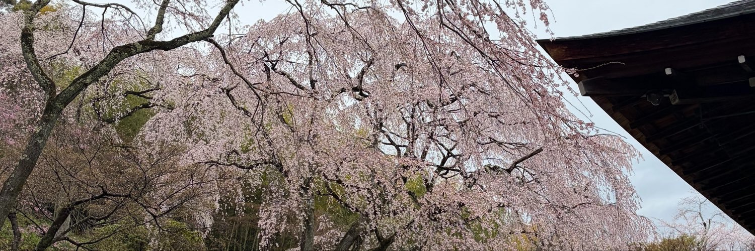 dai29389's profile banner image