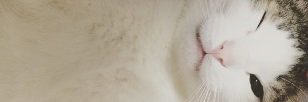 se_ta06's profile banner image