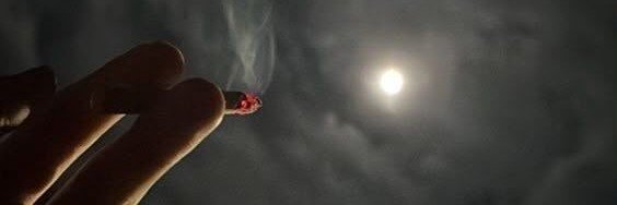weedweedel's profile banner image
