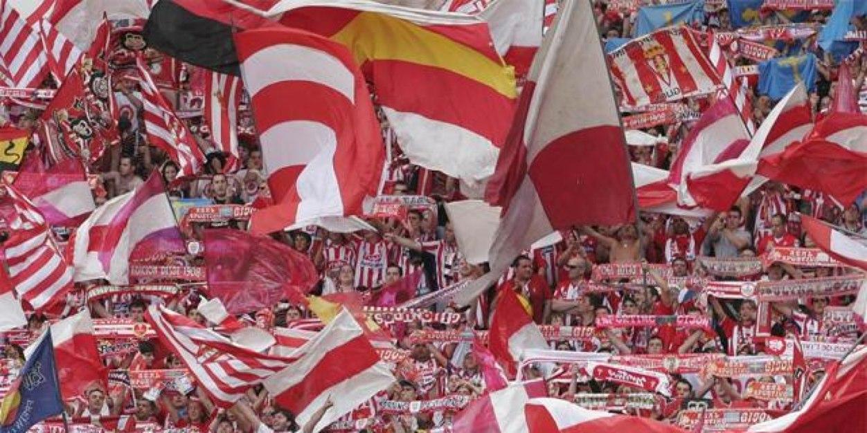 torotino's profile banner image