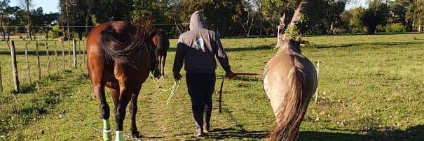 mate_cuq's profile banner image