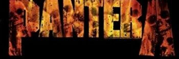SeluPantera's profile banner image