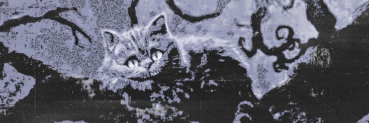 MOCKERISMS's profile banner image