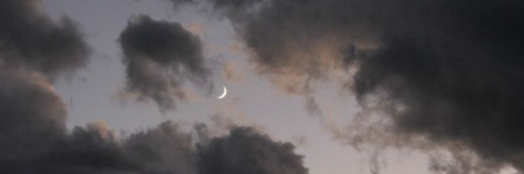 Erolvovd's profile banner image