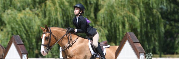 LynnColliar Profile Banner