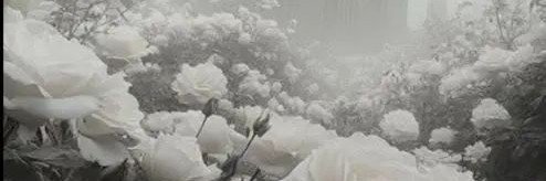 flxmbeur's profile banner image