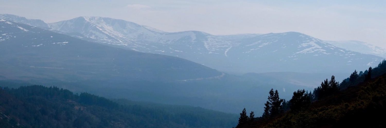 simon billing banner