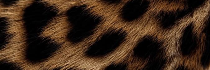 lathiao's profile banner image