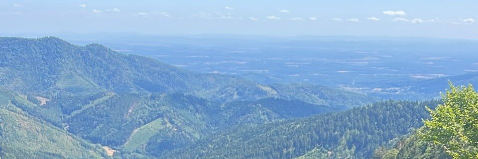 Rhsxtv's profile banner image