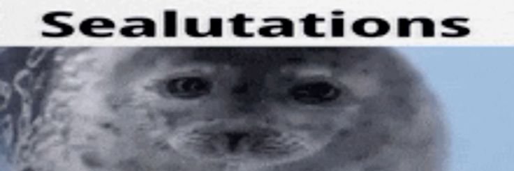 selkiesignal's profile banner image