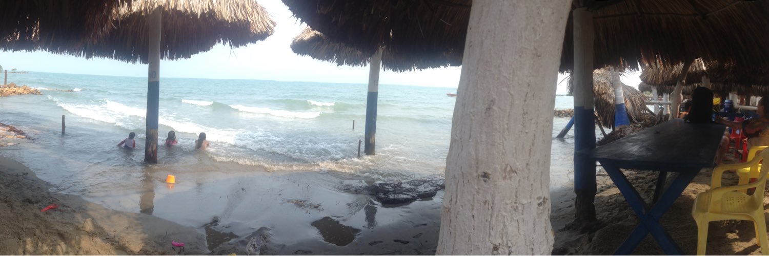 ALISITA ARIAS TORRES banner