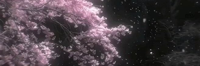 Jadeewingz's profile banner image