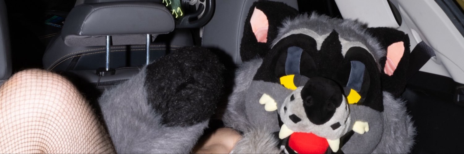 BigGayfurryAD's profile banner image