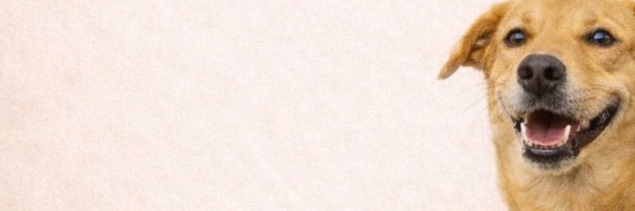 faellyloppe's profile banner image
