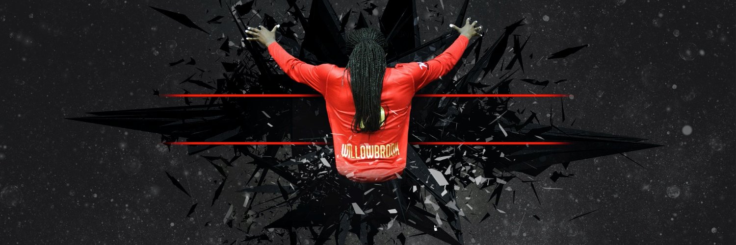 Willowbrookvb's profile banner image