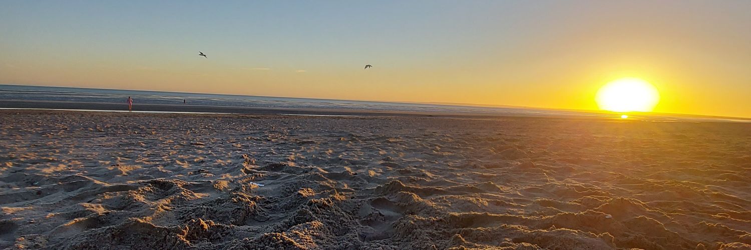 Fefagravier's profile banner image