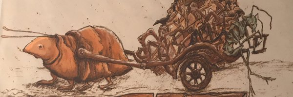 timm Profile Banner