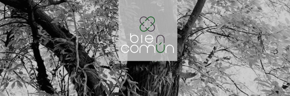Bien Común Mx banner