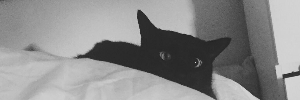 Andrew Daniel banner