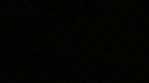 TheSamFran's profile banner image