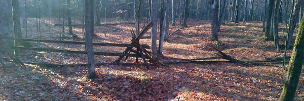 stoosnews Profile Banner